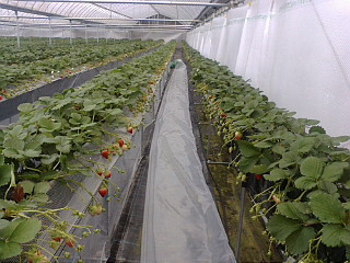 20111219160357_冬支度ダクト2.jpg