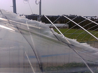20120405_爆弾台風2.jpg