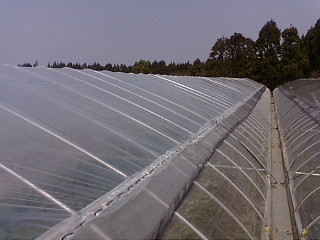20120408_爆弾台風4.jpg