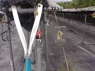 20120507_鼠対策.jpg